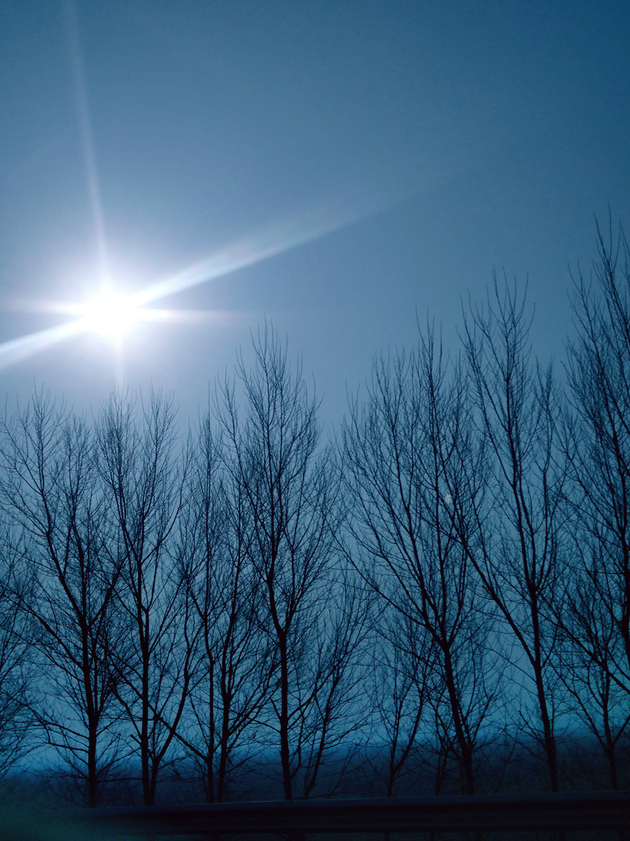 1488798815665315.jpg 1..jpg